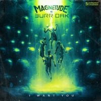 Magnetude - I Want You