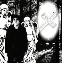 Zolt - The night is young