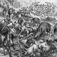 Insalubrity - Insalubrity
