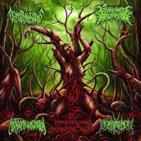 Morphogenetic Malformation - Impregnated Through Pathogenic Agony