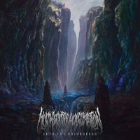 Morphogenetic Malformation - Into the Odiousness