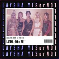 LAYSHA - Yes or Not
