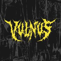 Vulnus - Promo 2023