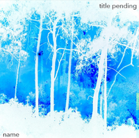 Name - Title Pending