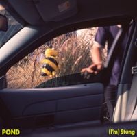 Pond - (I'm) Stung