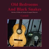 Catskill - Old Bedrooms And Black Snakes