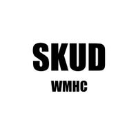 SKUD - DEMO