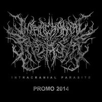 Intracranial Parasite - Promo 2014