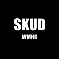 SKUD - DEMO 2