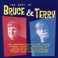 Bruce & Terry - The Best of Bruce & Terry