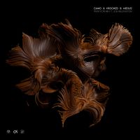 Camo & Krooked & Mefjus - Pray for Me