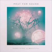Pray For Sound - Everything Is Beautiful