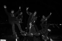Mallard - Winter Tour 2012