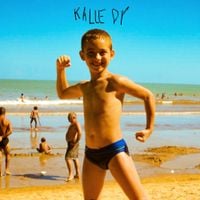 Link do Zap - Kalledy