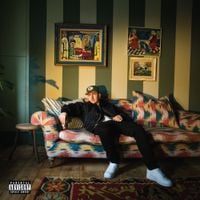 Songer - THE PRICE OF THERAPY