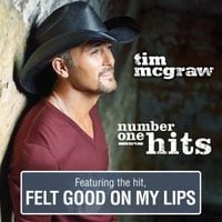 Tim McGraw - Number One Hits