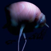 Arca - &&&&&