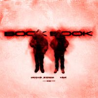 Incis ZONE - BOOK BOOK