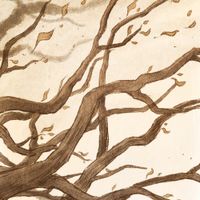 i chased a crow - Trees