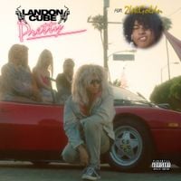 Landon Cube - Pretty