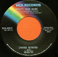 Lynyrd Skynyrd - What's Your Name
