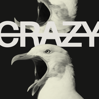 &bull;Kira - CRAZY