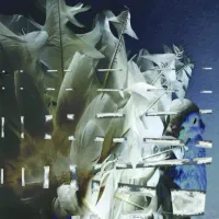 Merzbow - Fantail Vision