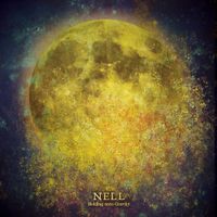 넬 [NELL] - Holding Onto Gravity