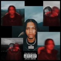 Nemzzz - DO NOT DISTURB (DELUXE)