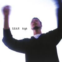 SONS OF ALL PUSSYS - high