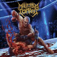 Malicious Combat - The Knock​-​Out Fulfilment