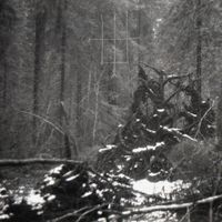 Шип Сна [Thorn of Sleep] - Шип Сна