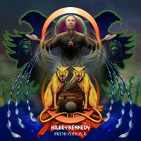 Martin Kennedy & Steve Kilbey - Premonition K