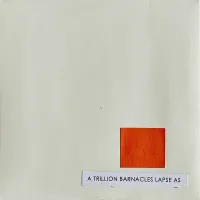 A Trillion Barnacle Lapse - A Trillion Barnacle Lapse As
