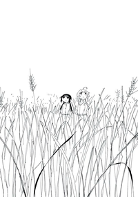 kettei - starfields