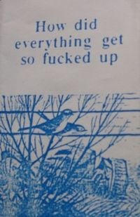The Cat's Miaow - How Did Everything Get So Fucked Up
