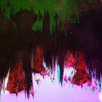 Yikii - Upside Down Forest