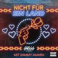 Swiss & Die Andern - Nicht f&uuml;r ein Land
