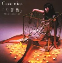 Caccinica - 七面鳥 (Shichimenchou)