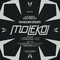 Random Order - Automatic Responser