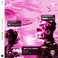 splitter - FULL FLAVOUR