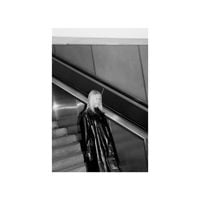 Lisa Lerkenfeldt - Suite For The Drains