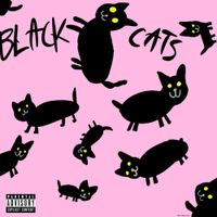 AmyFM - BLACK CATS.