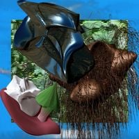 woopheadclrms - Meeting Room + Rare Plants