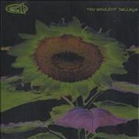 311 - You Wouldn't Believe
