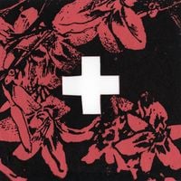 The Hue Of Two - Untitled