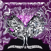 Dope Purple & Berserk - This is the Harsh Trip for New Psyche