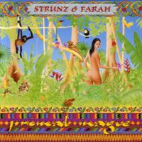 Strunz & Farah - Primal Magic