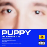 BROCKHAMPTON - PUPPY (2018)