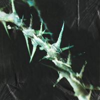 Ice Sealed Eyes - Bloom (Ft. FreeHowling)